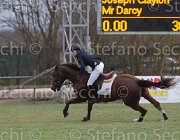 Clayton Mr Darcy TosTour 2013- S5 7903 : Arezzo Equestrian Centre, Clayton Joseph, Mr Darcy, Toscana Tour 2013, foto di Stefano Secchi ©